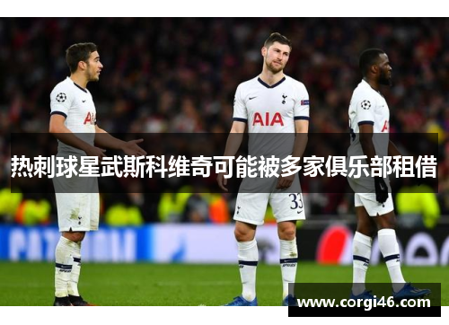 热刺球星武斯科维奇可能被多家俱乐部租借